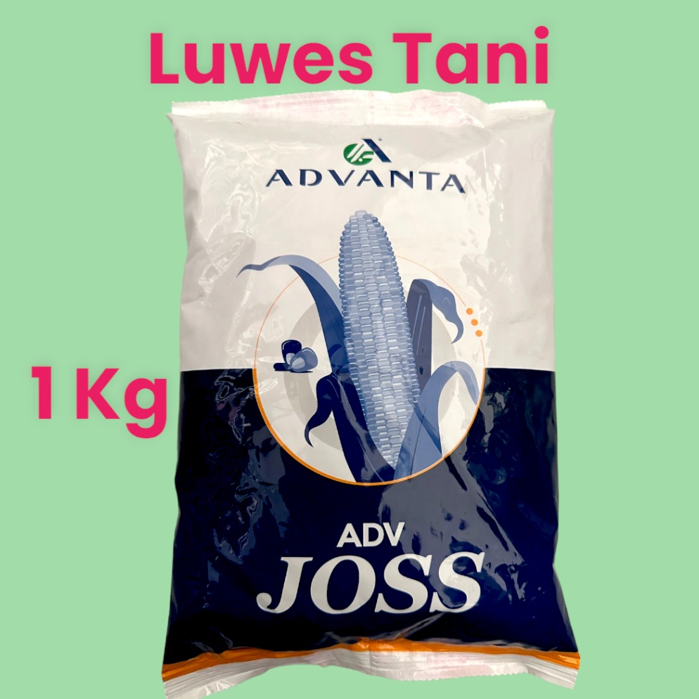 74 Benih Jagung ADV JOSS 313 hibrida 1kg 45