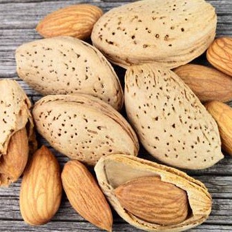 

Almond Cangkang Roasted Rasa Butter Lk/Susu