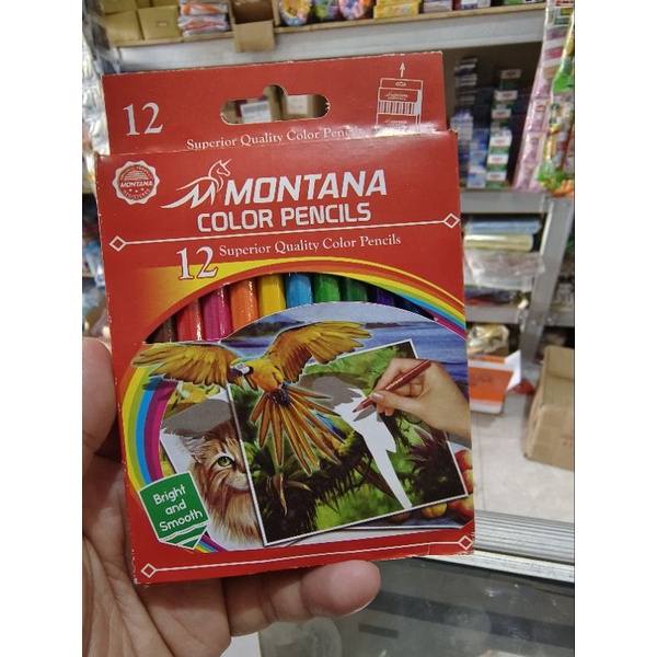 

pensil warna murah