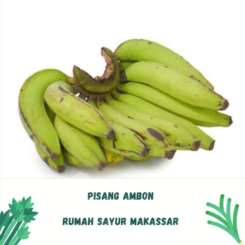 

pisang ambon / persisir