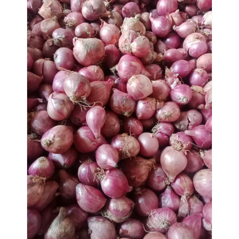

MNDR4086 BAWANG MERAH 1kg diskon 50% saat live