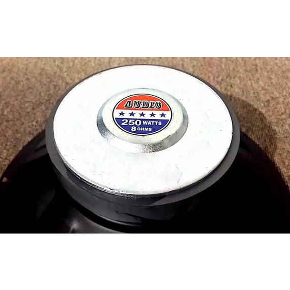 SPEAKER 10 INCH WOOFER AUDIO 250 WATTS 8 OHMS SPEAKER 10IN 10INCH 10 IN WOOFER