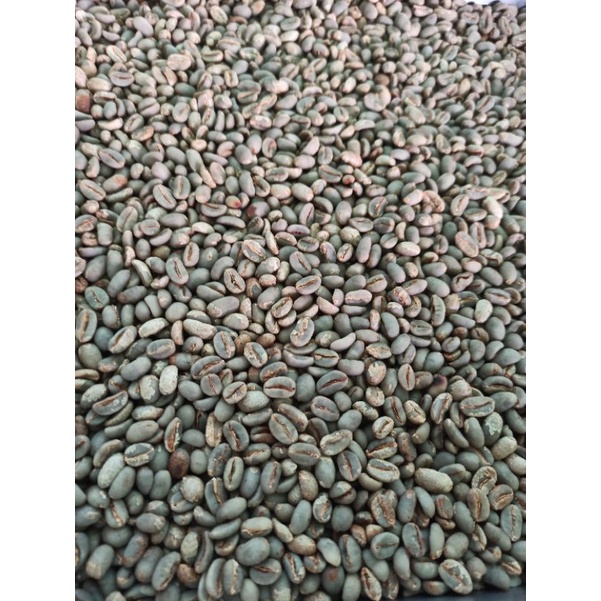 

Green Bean Arabika Gayo Bla Honey Biji Mentah - 500Gr