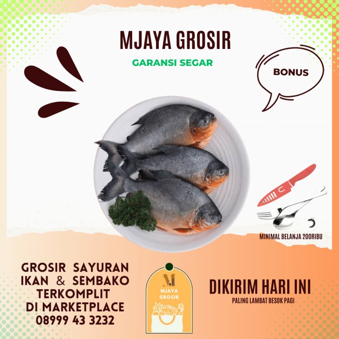 

Ikan Bawal Tambak 500gr