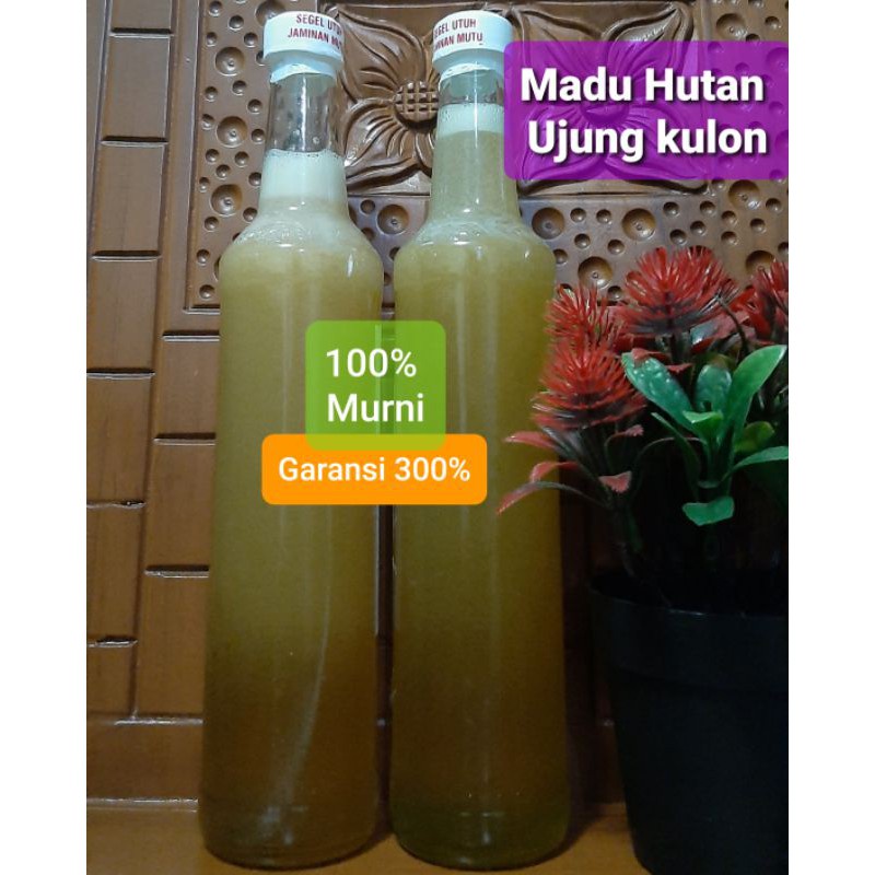 

Madu hutan (100% madu murni)
