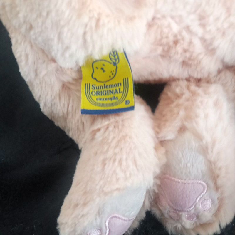 Boneka Sunlemon Kucing