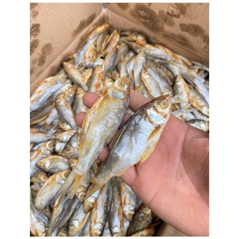 

Ikan Asin Nilem
