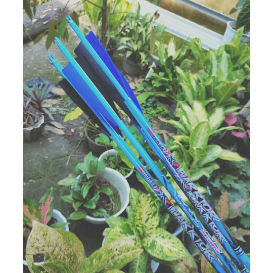 12.12 sale Arrow carbon warrior 