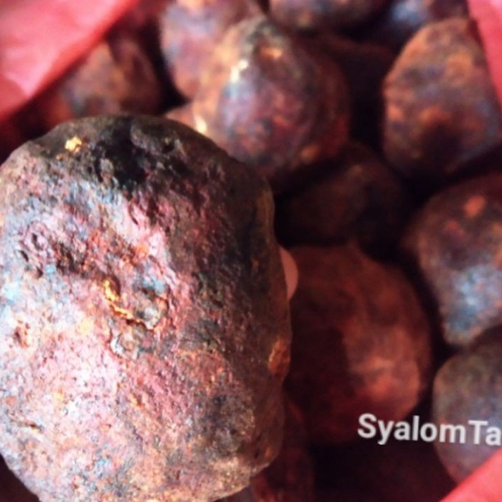 

Buruan Beli Gambir Maha Bunga Medan Best Produk