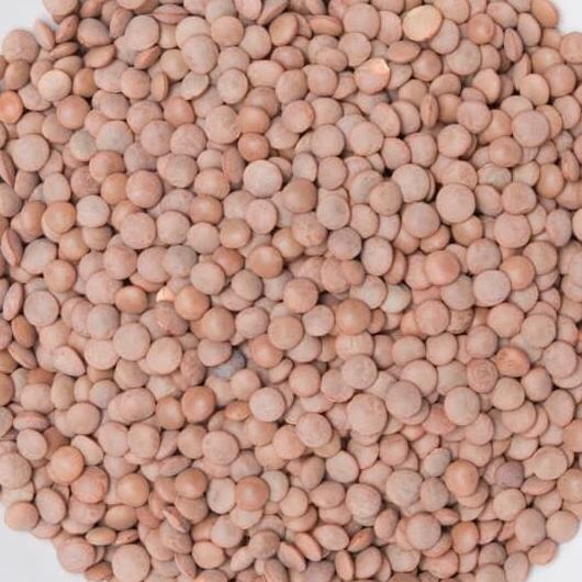 

:0:0:0] Brown Lentil Adas coklat Adas Merah Mashor daal 500 gr