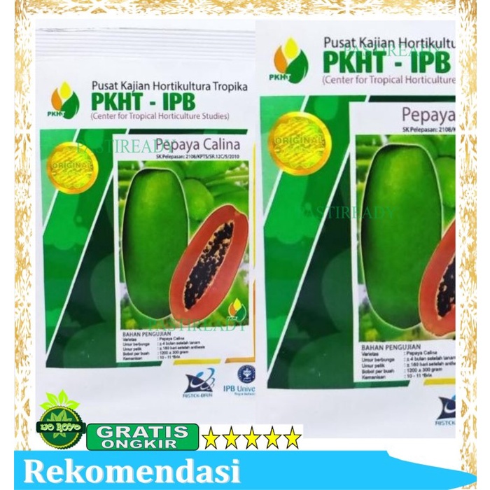 BENIH PEPAYA CALINA CALIFORNIA IPB ISI 250 butir PKHT IPB original