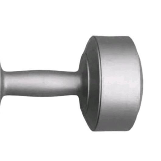 Barbel Plastik 10 Kg