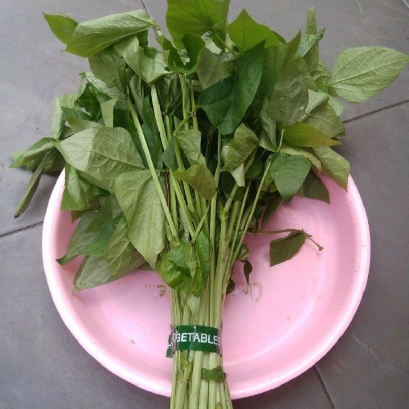 

2 ikat sayur lembayung / mbayung sayuran kas desa segar fresh petik.