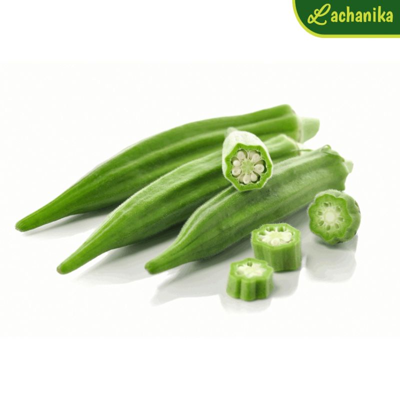 

Green Okra / Sayur Okra Fresh