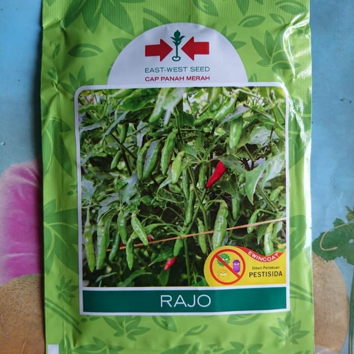 Benih Bibit Cabe Rawit Hijau RAJO 20gr