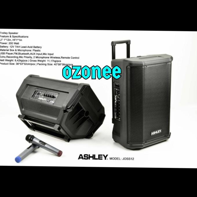 SPEAKER PORTABLE ASHLEY JOSS 12 ORIGINAL 12 INCH