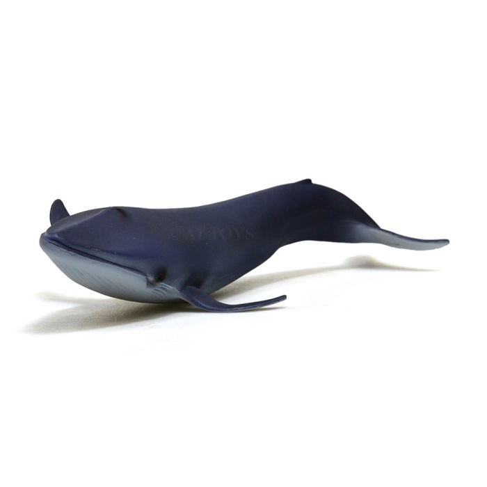 Mainan Miniatur Paus Biru Blue Whale Safari 25 Cm Ready