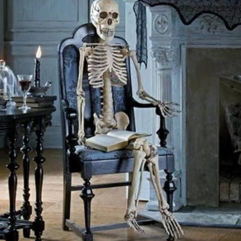 

Halloween Halloween Skeleton Full Life Size Human / Skeleton Decoration Stok Terbatas