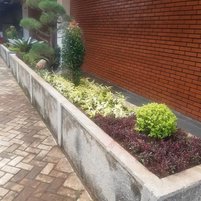 Taman jepang - taman eropa - relief - kolam koi - kolam minimalis