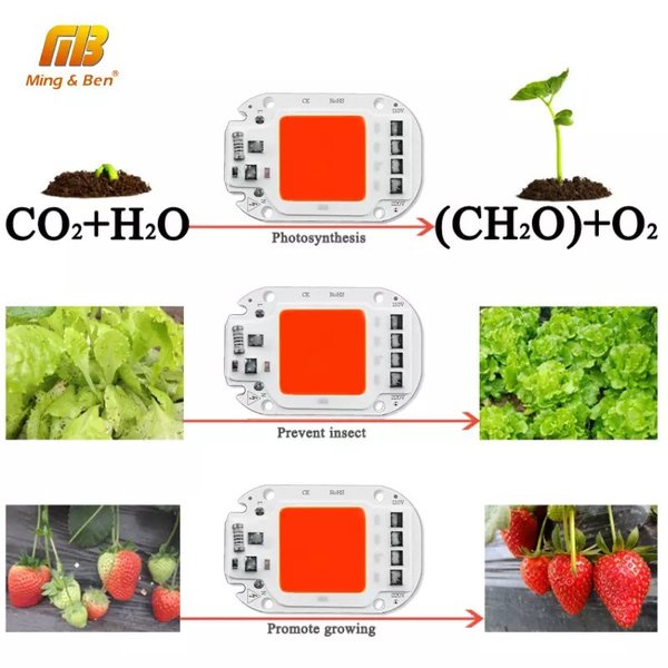 Led Cob 50 W Ac220V Lampu Dengan Smart Ic Driver Lampu Sorot Warna Putih Lampu Led