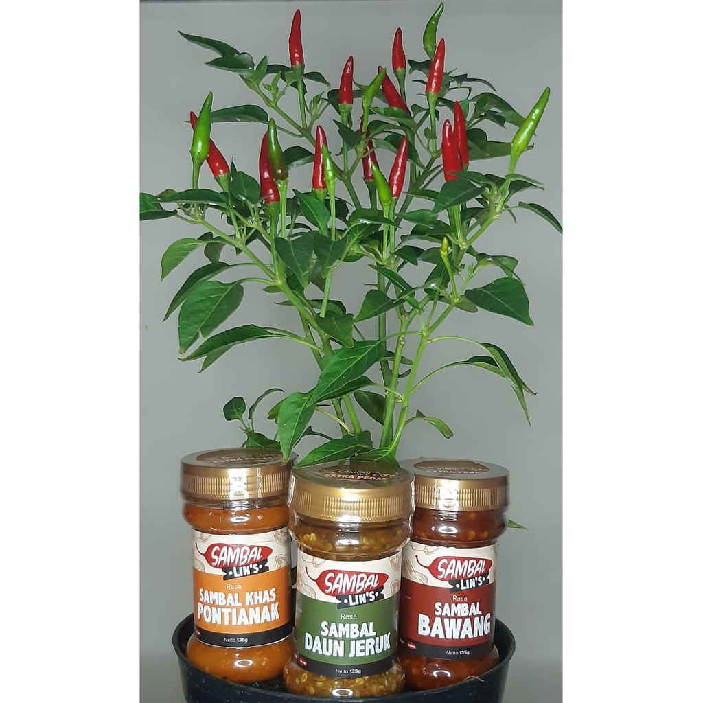

Sambal / Sambel Bawang Putih Pedas Khas Pontianak Lin'S