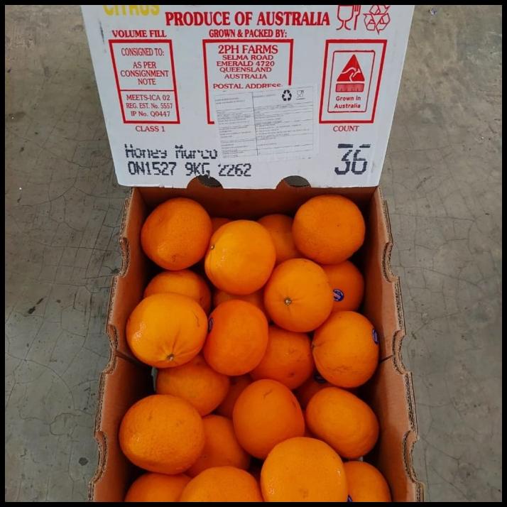 

GRATIS ONGKIR BUAH JERUK HONEY MURCOT AUSTRALIA 36 PIS/ JERUK MANIS FRESH/ KADO !!!!!