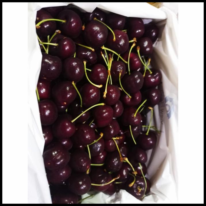 

BEST DEAL BUAH CHERRY TASMANIAN 2 KG FRESH !!!!!!