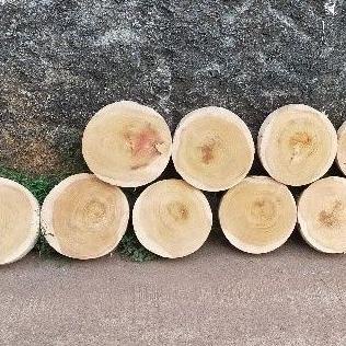 Talenan Daging Kayu Diameter 50Cm - Talenan Kayu Bulat - Alat Dapur -