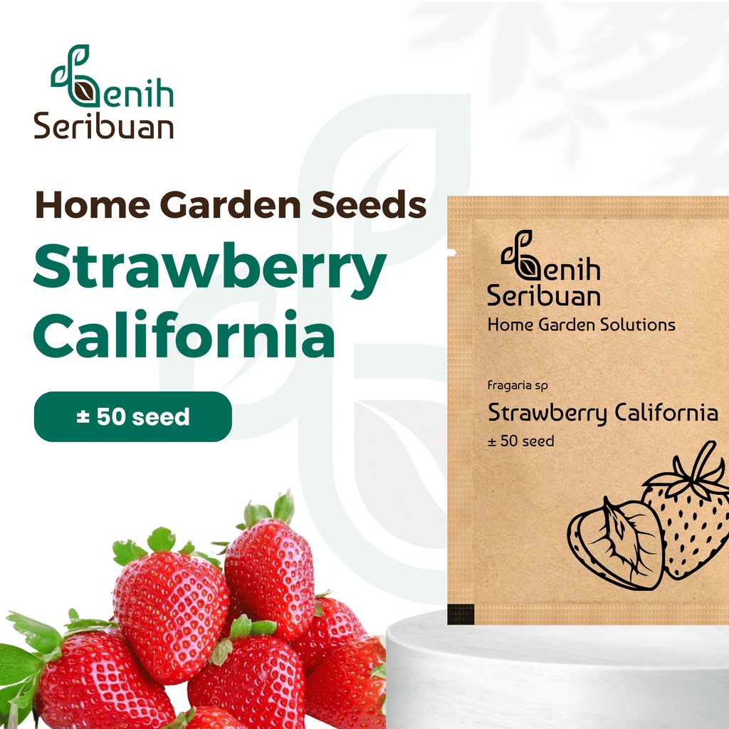 Benih Seribuan - Benih Buah Strawberry California Unggul