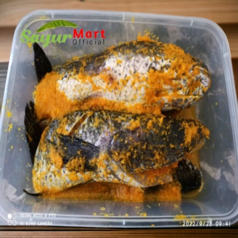 

ikan Gabus Bumbu Kuning 500gr INSTAN
