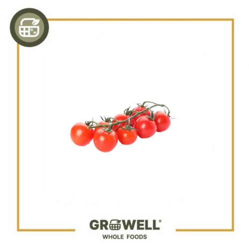 

HIGHLAND MINI CHERRY TOMATO