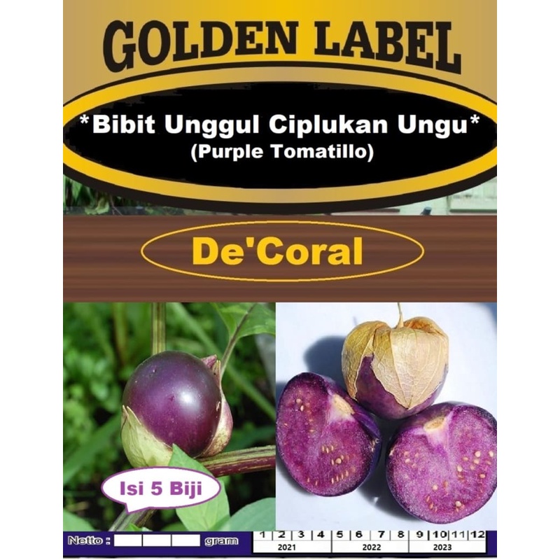 Bibit Unggul Ciplukan Ungu |Benih Ciplukan Ungu |Bibit Ciplukan Purple