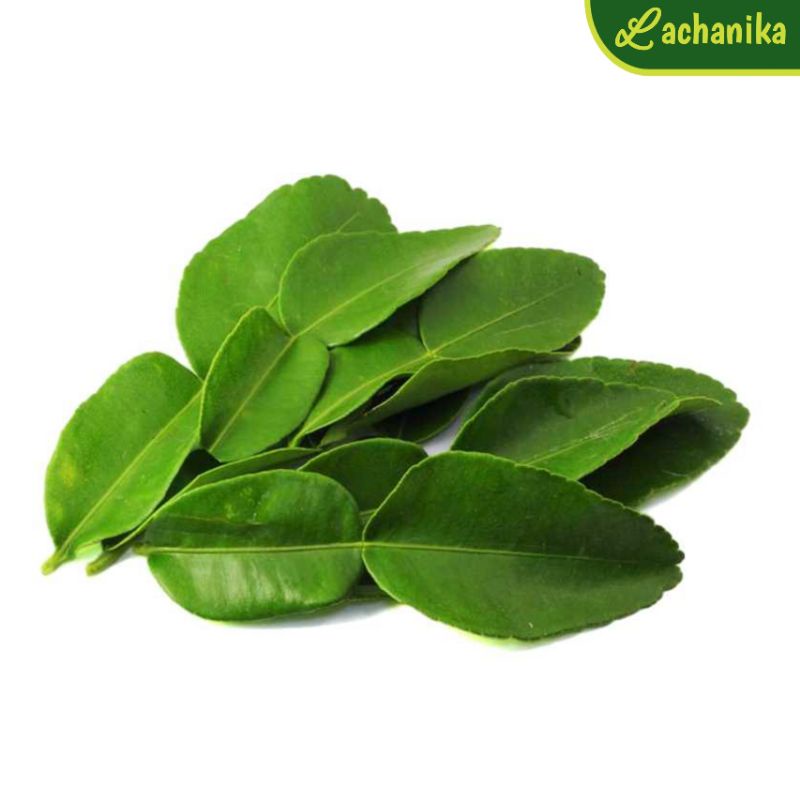 

Daun Jeruk Fresh