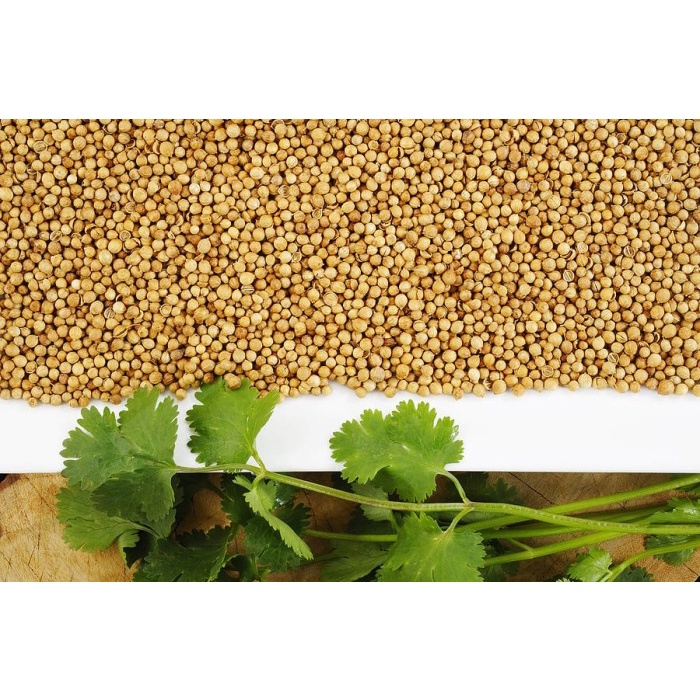 

#@#@#@#@] SMT CORIANDER SEED 100G