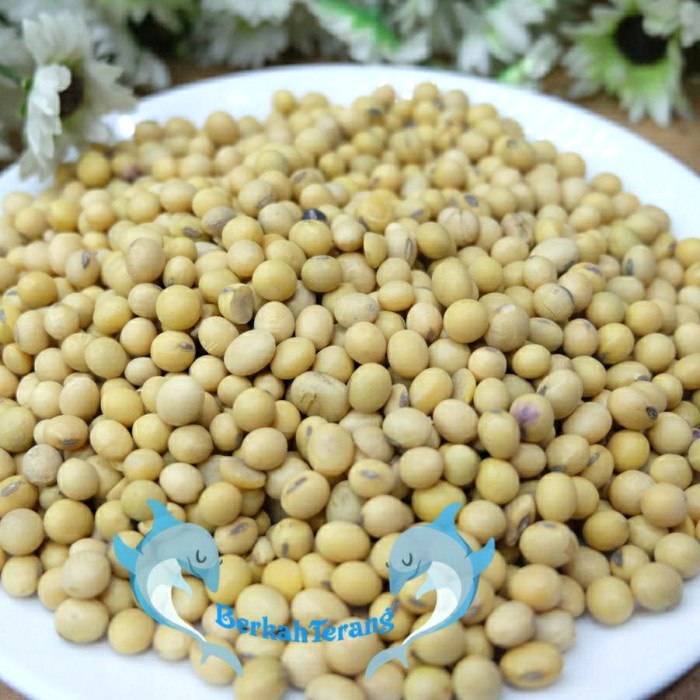 

Kacang Kedelai 1Kg Super / Kacang Kedele