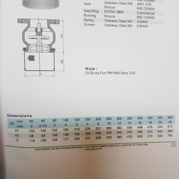 Foot Valve Gala Cast Iron 10K 3" Inch