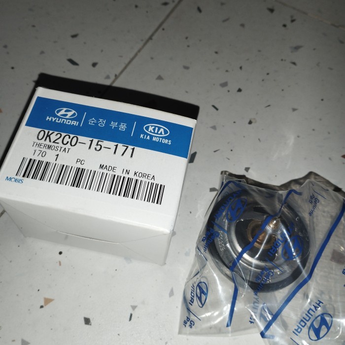 thermostat kia carnival yenirosa14