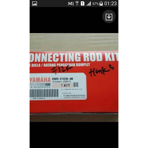 ✨Ori Stang Seher Fiz R Original Terbatas