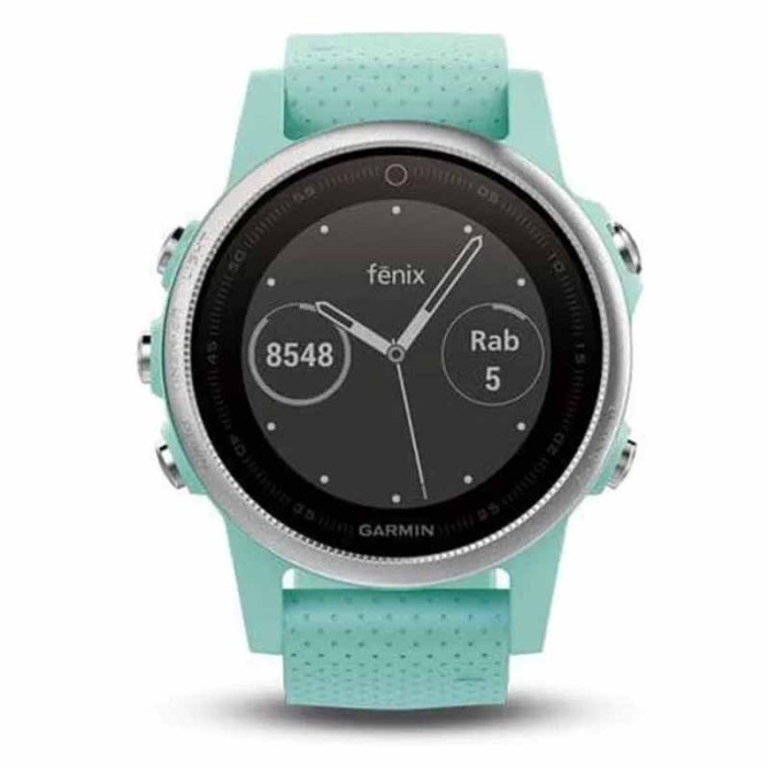 ✅Termurah Garmin Watch Original Garmin Fenix 5S Frost Blue Tone Jam Pria Wanita Berkualitas