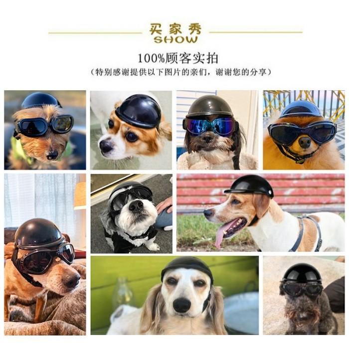 Topi Helm Motor Anjing Kucing Peliharaan