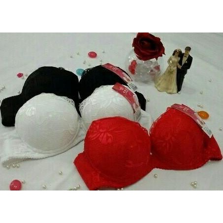 Bra Busa Tebal Push Up Renda Brukat Lace Sexy