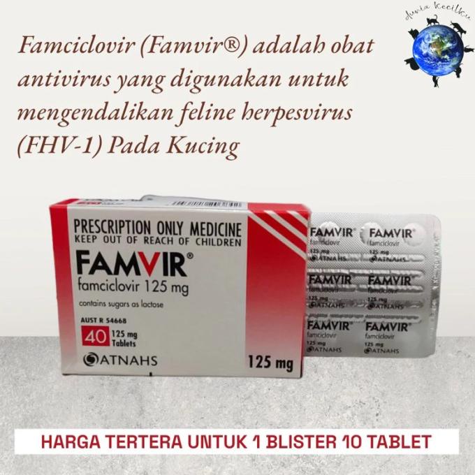 Famvir Famciclovir 125mg Obat Anti Virus FHV Kucing - 1 Blister