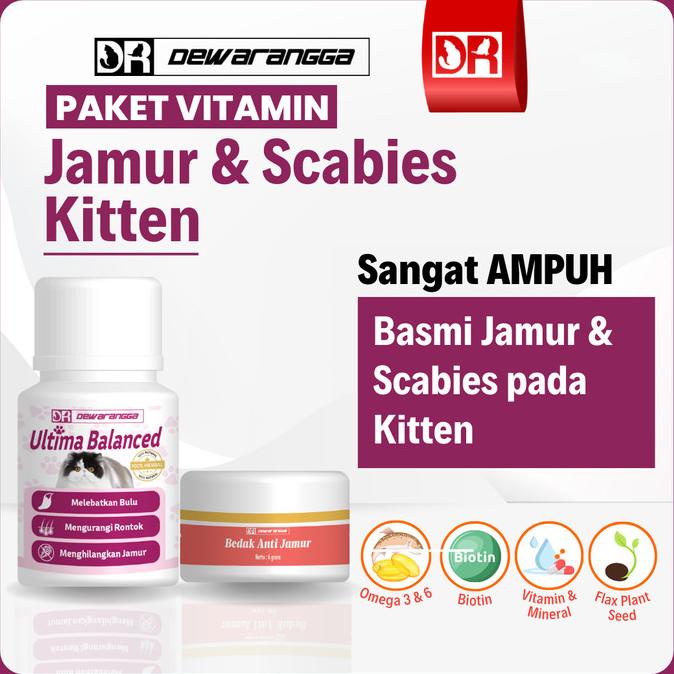 Vitamin Jamur dan Scabies Kitten Dewarangga. Obat Jamur Scabies Kucing