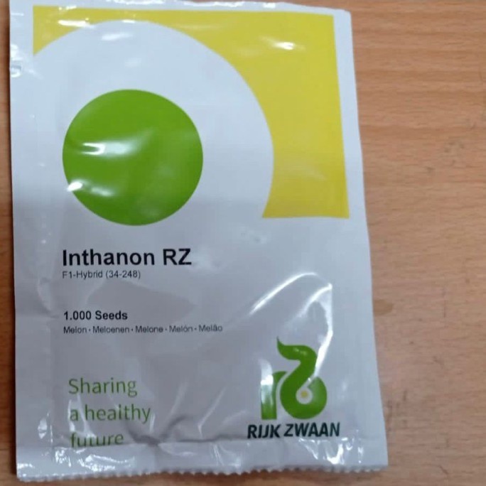 Bibit Melon Inthanon Rz - 1000 Kemasan Ori