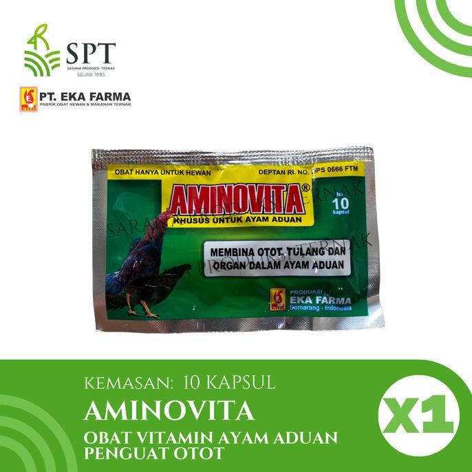 *****] AMINOVITA OBAT VITAMIN AYAM ADUAN PENGUAT OTOT 10 KAPSUL EKA FARMA