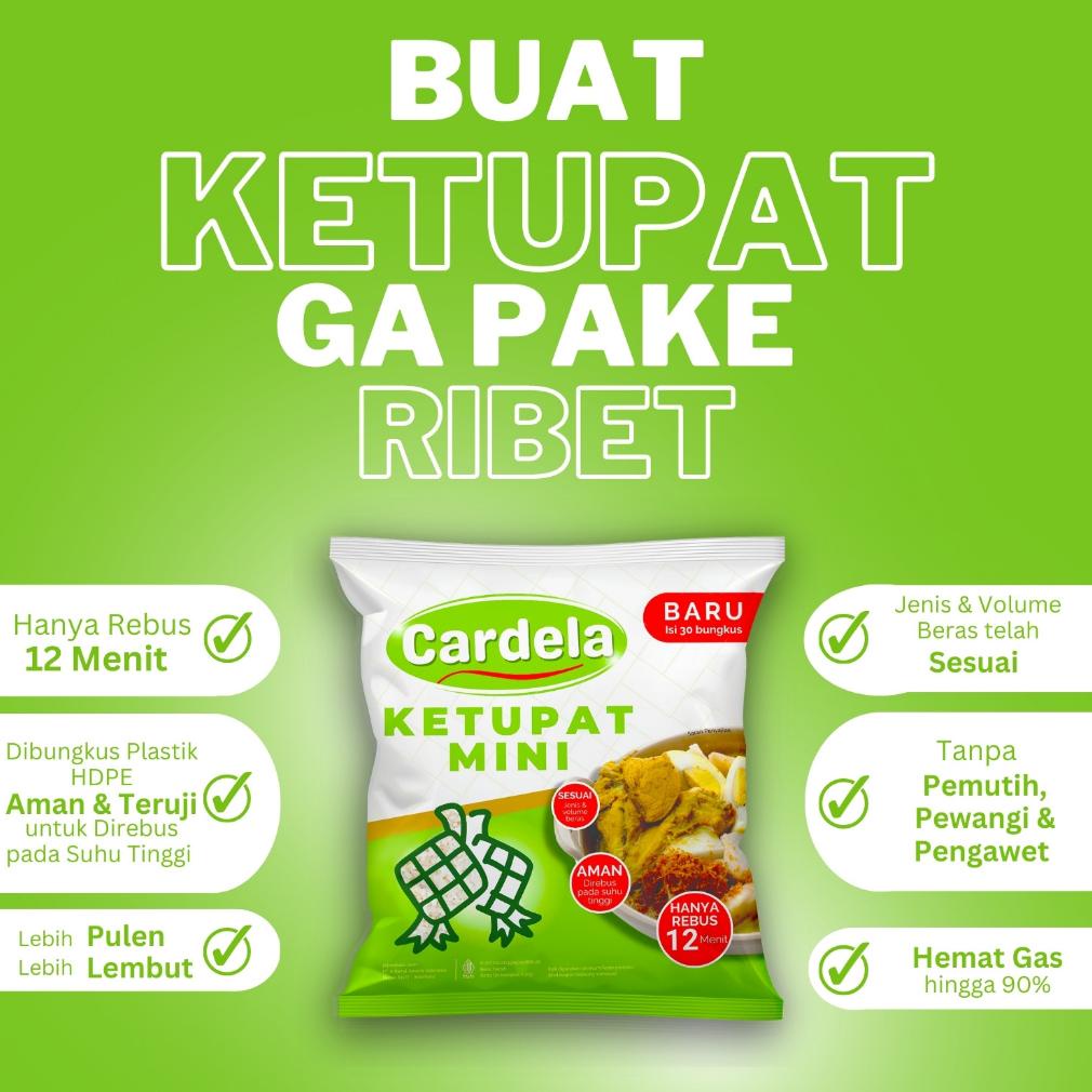 

TERBAIK KETUPAT MINI CARDELA - 600GR (30 PCS X 20GR) TERBARIK DI PAGE INI