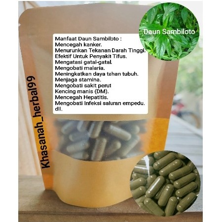"'''] SAMBILOTO isi 100 kapsul