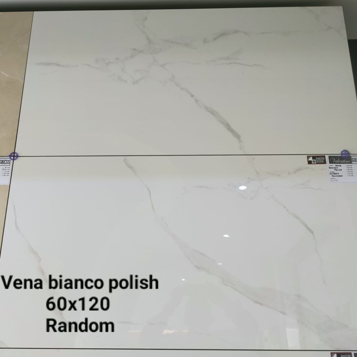Granit Lantai Valentino Vena Bianco 60120