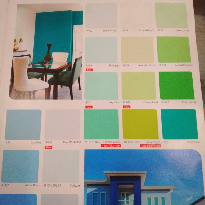 JM- NIPPON PAINT VINILEX 25KG