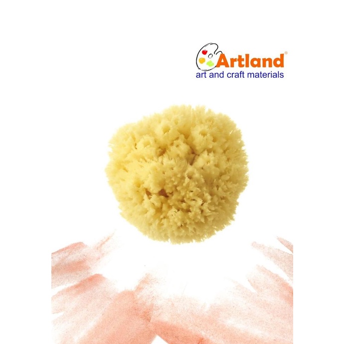 

] Sponge Coarse 5- 5.5In C555 Pengiriman Cepat